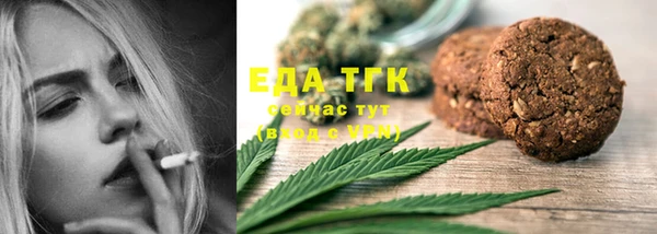 гидра Елабуга