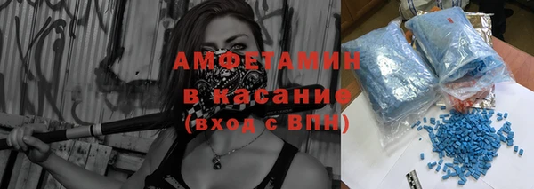 стаф Ельня