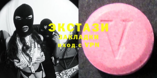 стаф Ельня