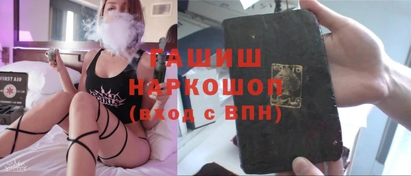 стаф Ельня