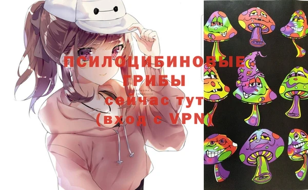 Альфа ПВП Елизово