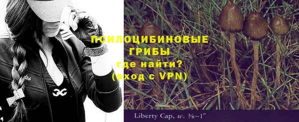 гидра Елабуга