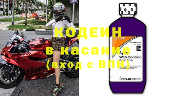 гидра Елабуга
