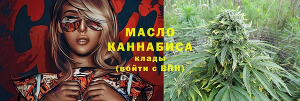 стаф Ельня