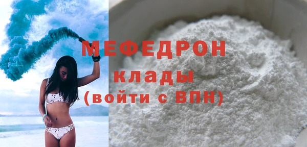 стаф Ельня
