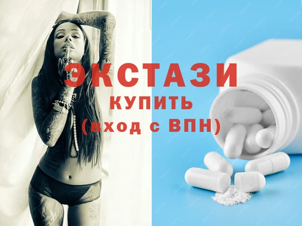 стаф Ельня