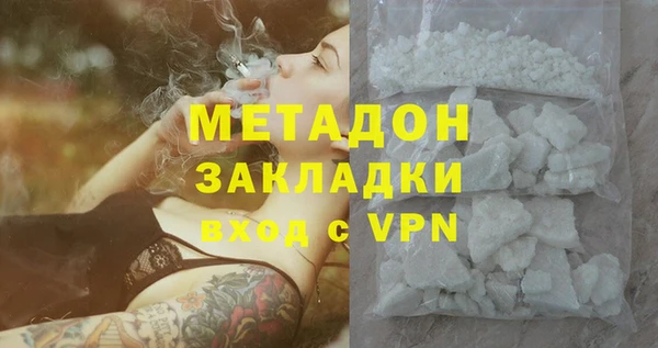 стаф Ельня