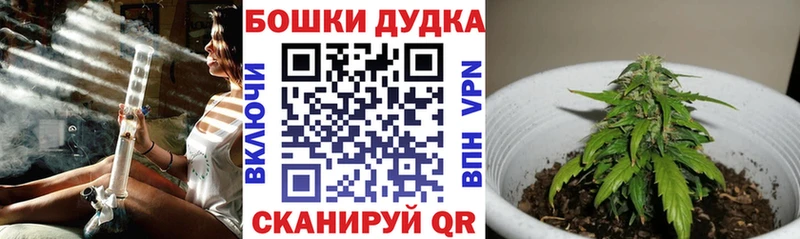 Конопля план Салаир